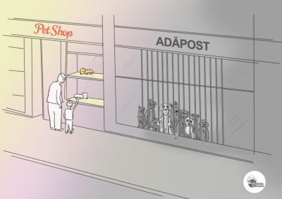 pet-store-vs-adoptie