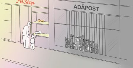 pet-store-vs-adoptie