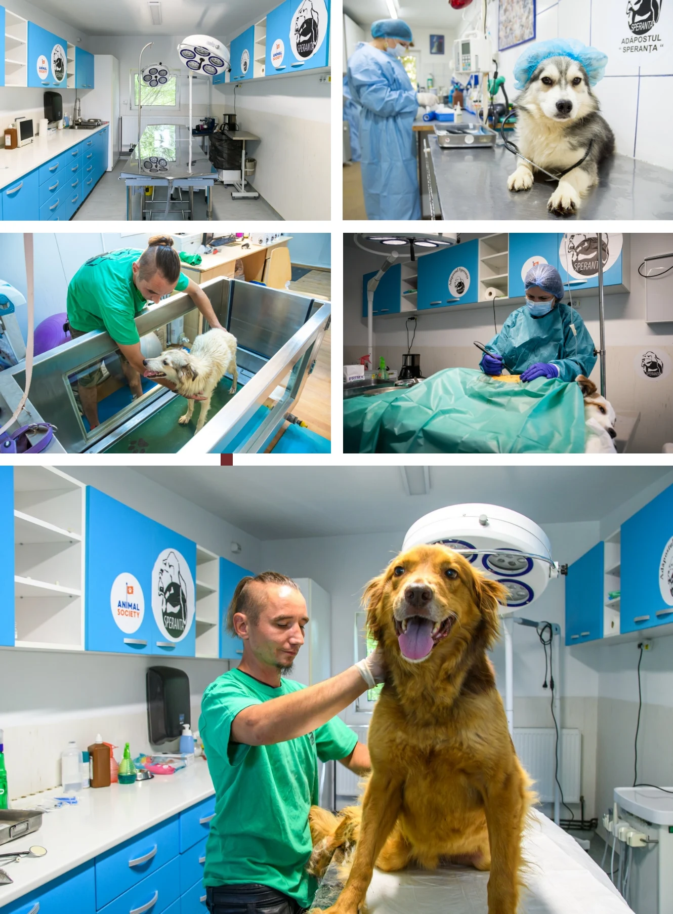 clinica veterinara