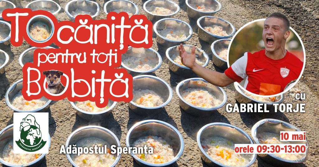 Tocanita 8 mai Torje