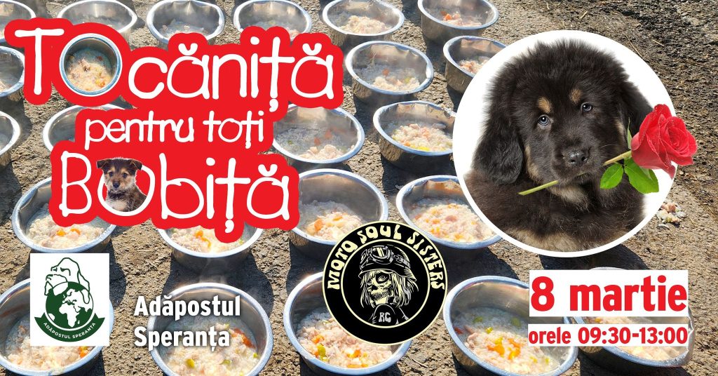 Tocanita 8 martie_Adapostul Speranta